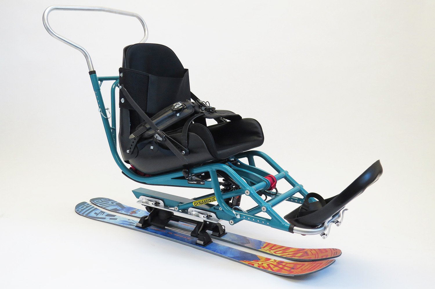 Bi Ski